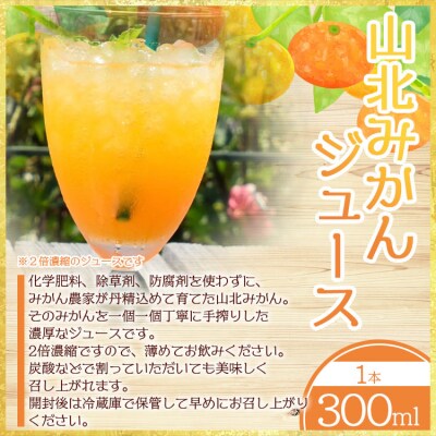 みかん農家の手搾り山北みかんジュースと季節のフルーツマフィンの詰め合わせ eh-0033