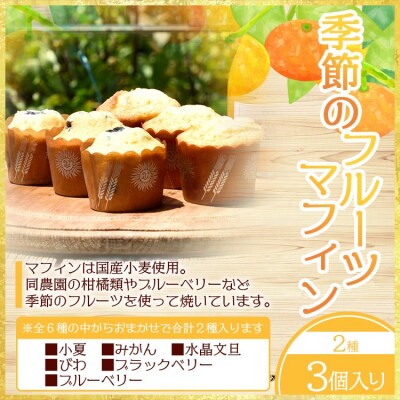 みかん農家の手搾り山北みかんジュースと季節のフルーツマフィンの詰め合わせ eh-0033