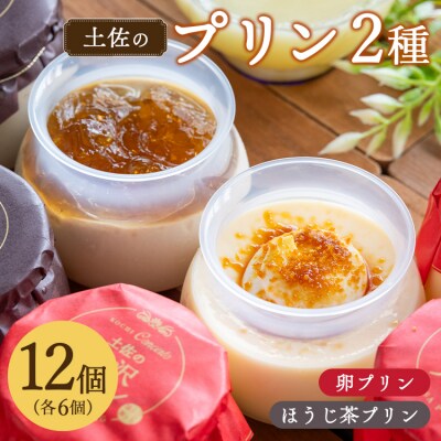 プリン2種 合計12個(卵・ほうじ茶) kn-0031