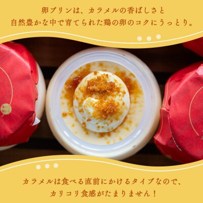 プリン2種 合計12個(卵・ほうじ茶) kn-0031