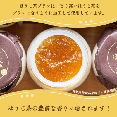 プリン2種 合計12個(卵・ほうじ茶) kn-0043