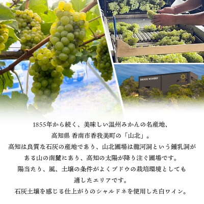 高知県産ワイン tosa cavatina 山北シャルドネ2024(750ml×1本)iw-0007