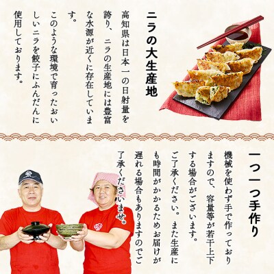 ニラのまち香南市 香南ニラ餃子14個 tw-0005