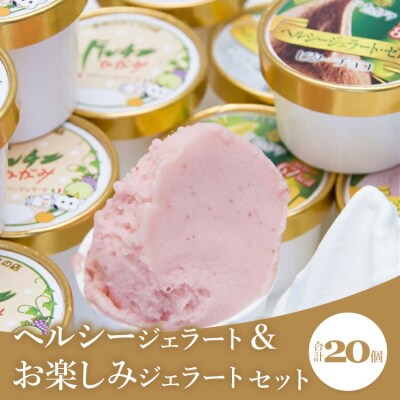 ドルチェかがみ ヘルシージェラート&お楽しみジェラートセット 20個入り dc-0065