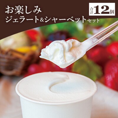 ドルチェかがみ お楽しみジェラート&シャーベットセット 12個入り dc-0063