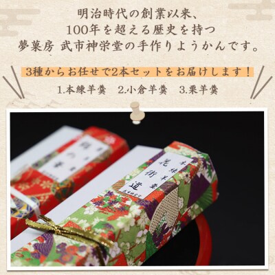 合同会社武市神栄堂の手作りようかん2本 yd-0011