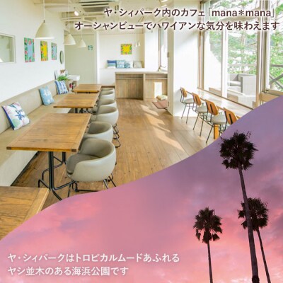 マヒマヒ フライ10枚セット ys-0009