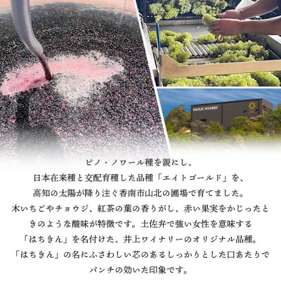 高知県産 ワイン TOSA山北 1本 iw-0003