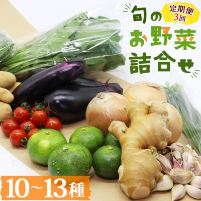定期便3回コース 高知県香南市産 旬のお野菜詰合せ(10～13品目) Wpr-0008