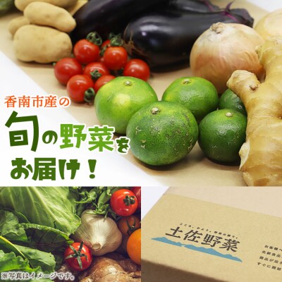 定期便3回コース 高知県香南市産 旬のお野菜詰合せ(10～13品目) Wpr-0008
