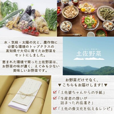 定期便3回コース 高知県香南市産 旬のお野菜詰合せ(10～13品目) Wpr-0008