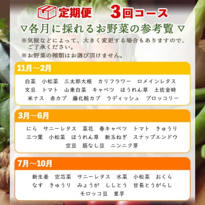 定期便3回コース 高知県香南市産 旬のお野菜詰合せ(10～13品目) Wpr-0008