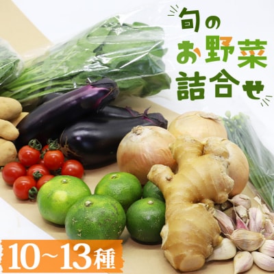 高知県香南市産 旬のお野菜詰合せ(10～13品目) pr-0007