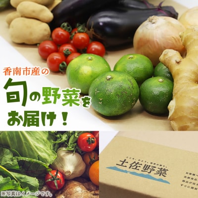 高知県香南市産 旬のお野菜詰合せ(10～13品目) pr-0007