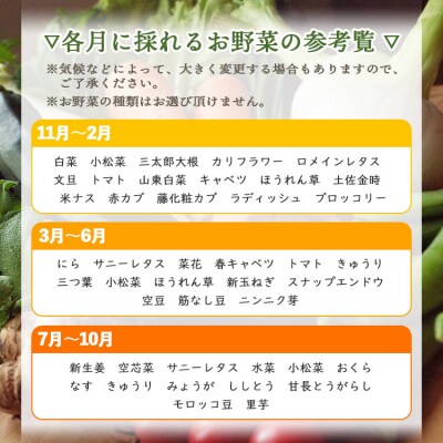 高知県香南市産 旬のお野菜詰合せ(10～13品目) pr-0007