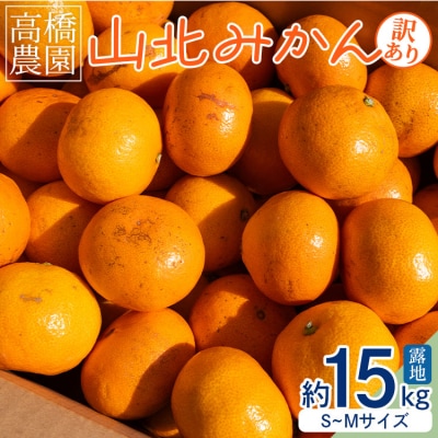 家庭用 山北みかん 露地(S～M)B品 15kg 高橋農園 th-0016