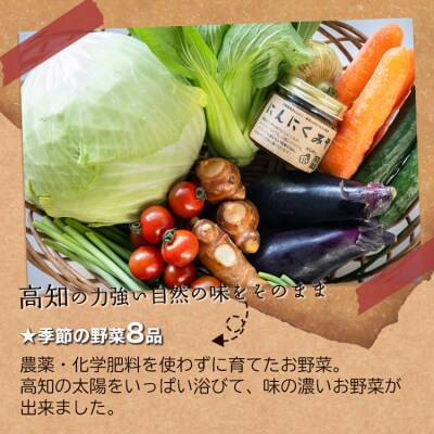 農薬不使用のお野菜8品とにんにく味噌のセット pr-0011