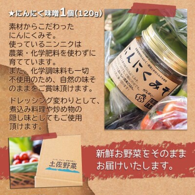 農薬不使用のお野菜8品とにんにく味噌のセット pr-0011
