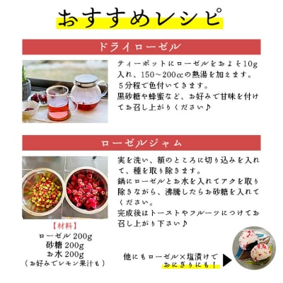 ローゼルティ 30g×3袋入り ga-0004