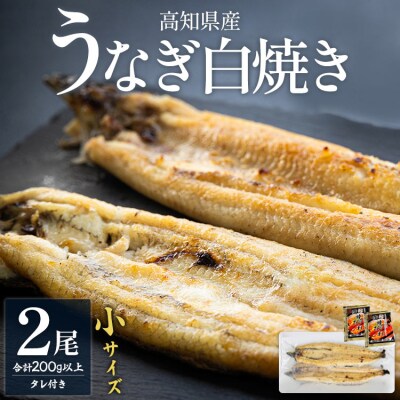 高知県産うなぎの白焼き小サイズ(100～120g)×2尾【タレ付き】 yw-0043