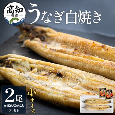 高知県産うなぎの白焼き小サイズ(100～120g)×2尾【タレ付き】 yw-0043