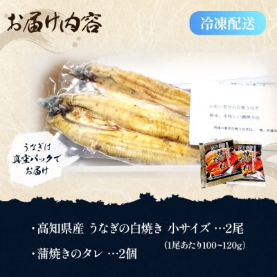 高知県産うなぎの白焼き小サイズ(100～120g)×2尾【タレ付き】 yw-0043