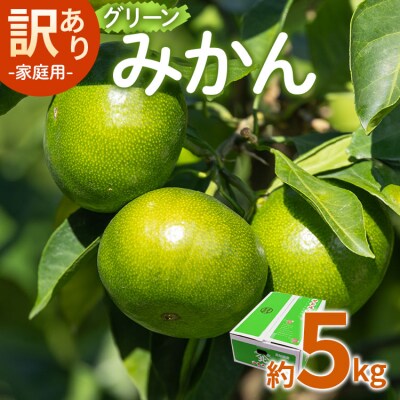 【2026年9月より順次配送】家庭用 訳あり グリーンみかん 約5kg みかん be-0111