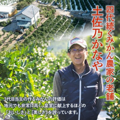 【2026年10月より順次配送】家庭用 訳あり 極早生みかん 約5kg みかん be-0112