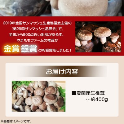 やまももファーム椎茸 夏菌はちきん生椎茸(菌床)約400g yo-0009