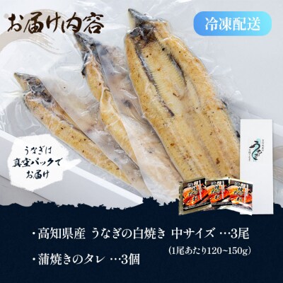 【高知県産】うなぎの白焼き中サイズ(120～150g)×3尾〈タレ付き〉 yw-0046
