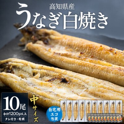 吉川水産 高知県産うなぎの白焼 中サイズ(120～140g)×10尾 タレ付き yw-0048