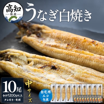 【高知県産】うなぎの白焼120～140g×10尾 タレ付き yw-0048