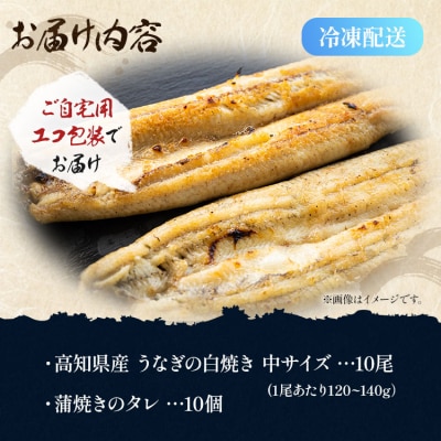 吉川水産 高知県産うなぎの白焼 中サイズ(120～140g)×10尾 タレ付き yw-0048