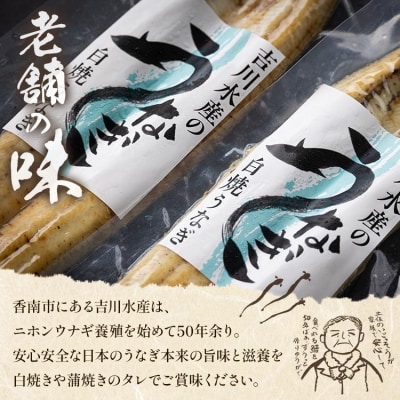 高知県産うなぎの白焼(140～150g)×2尾 蒲焼きのタレ付き yw-0106
