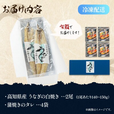 高知県産うなぎの白焼(140～150g)×2尾 蒲焼きのタレ付き yw-0106