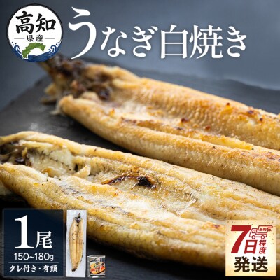 高知県産うなぎの白焼き 150～180g×1尾 - エコ包装 yw-0113