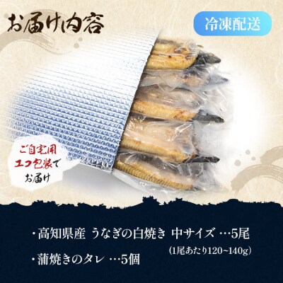 うなぎ 白焼 中サイズ(120～140g)×5尾 タレ付き 吉川水産 高知県産 yw-0047