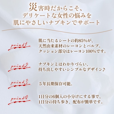 常備用 肌にやさしいナプキン 合計72枚(6枚入り×12個) hg-0024
