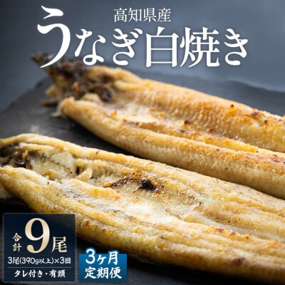 【3カ月定期便】高知県産鰻の白焼き130～150g×3尾 合計9尾 エコ包装 Wyw-0072