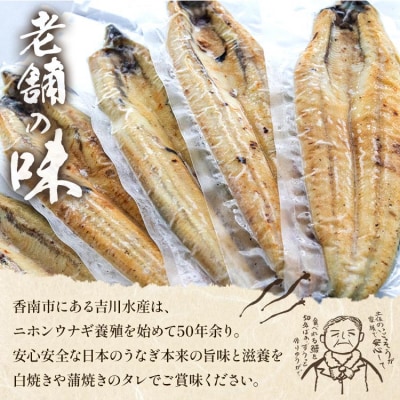 【3カ月定期便】高知県産鰻の白焼き130～150g×3尾 合計9尾 エコ包装 Wyw-0072