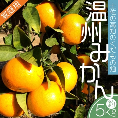 【先行予約】みかん5kg 土佐の高知のくだもの畑 みかん(家庭用)5kg kd-0025