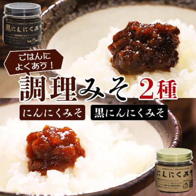 南国農家 ごはんによくあう!調理みそ2種(にんにくみそ、黒にんにくみそ) ng-0006