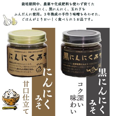 南国農家 ごはんによくあう!調理みそ2種(にんにくみそ、黒にんにくみそ) ng-0006