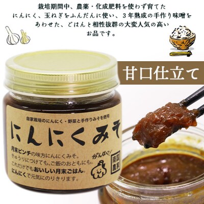 南国農家 ごはんによくあう!にんにくみそ2個入り ng-0007
