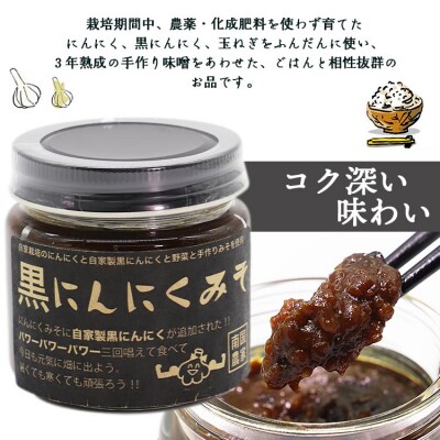 南国農家 ごはんによくあう!黒にんにくみそ2個入り ng-0008