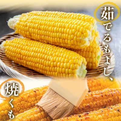 【2026年5月下旬より順次配送】朝どれ とうもろこし 4.5kg(12～15本) sy-0002