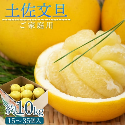 【先行受付】土佐文旦 家庭用 約10kg ku-0047