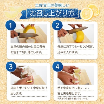 【令和9年1月下旬発送開始】土佐文旦 家庭用 約10kg ku-0058