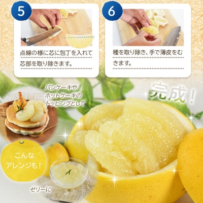 【令和9年1月下旬発送開始】土佐文旦 家庭用 約10kg ku-0058