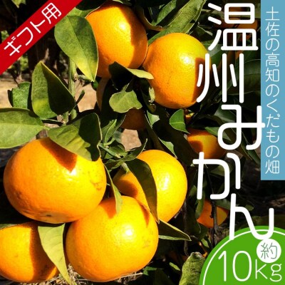 【みかん10kg 土佐の高知のくだもの畑 みかん(ギフト用)10kg(5kg箱×2) kd-0028